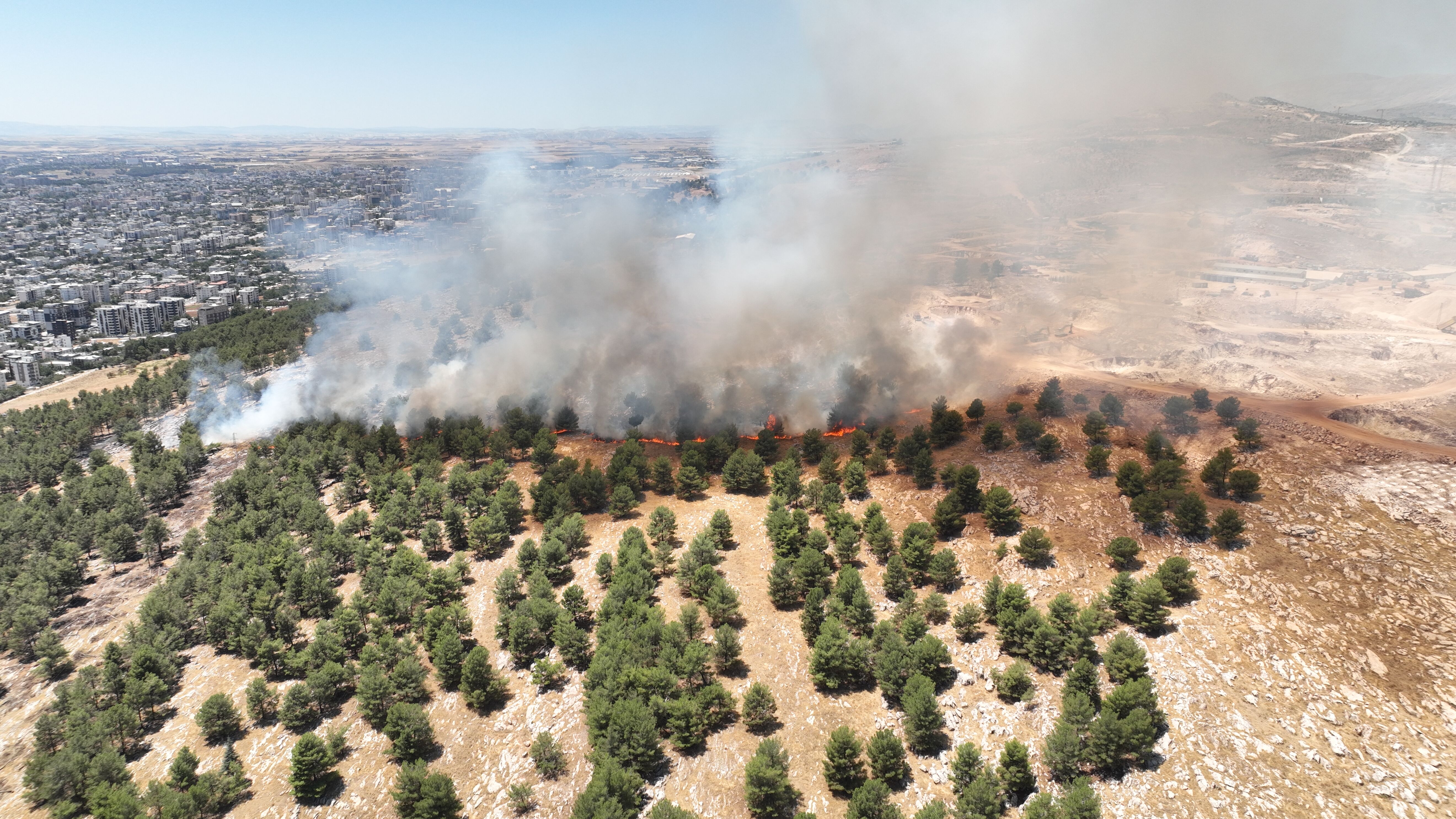 AA-20230805-31853820-31853816-ADIYAMANDA_ORMANLIK_ALANDA_CIKAN_YANGINA_MUDAHALE_EDILIYOR