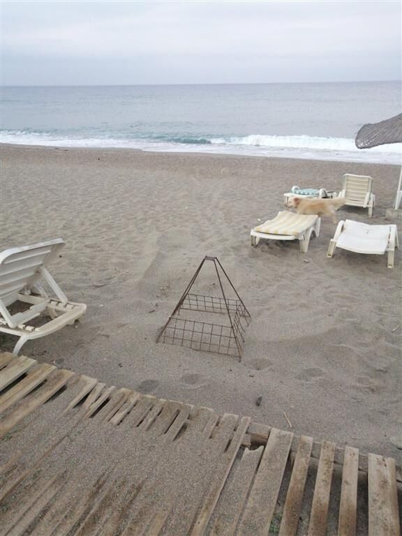 CARETTA-CARETTA-YUVASINDA-MANGAL-4-Medium