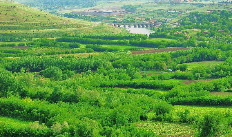 Diyarbakir-Hevsel-Bahceleri-01