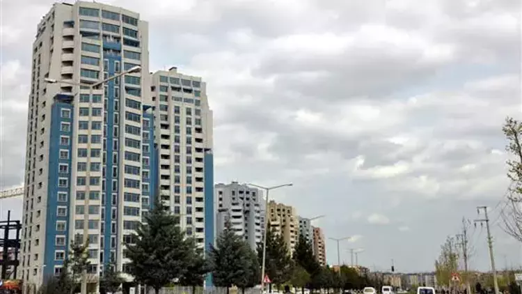 57de41a267b0a929200154c9.jpg