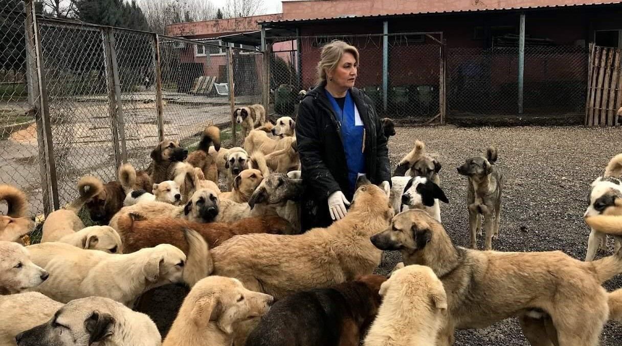 sevgi ekmekçiler