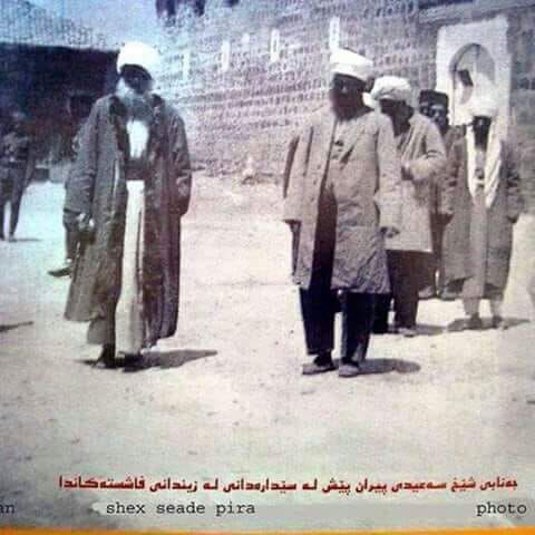 şeyh said-1