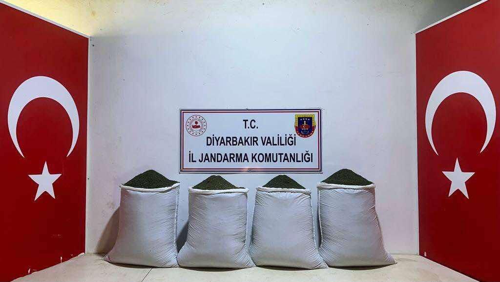 WhatsApp Image 2023-11-30 at 09.32.26