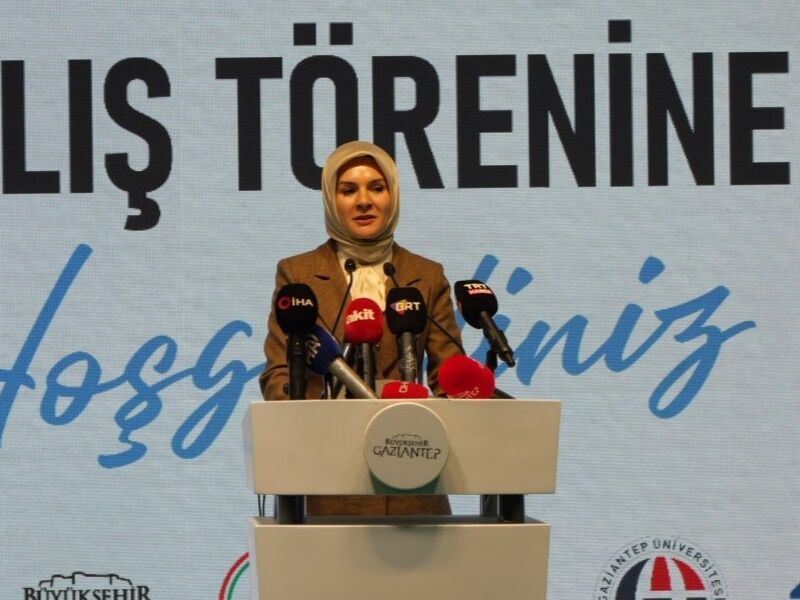 Aile Bakani
