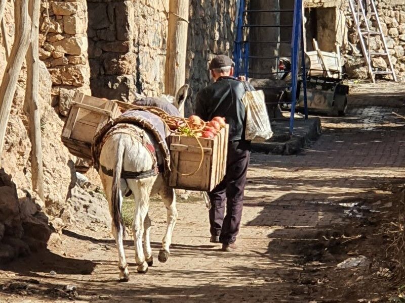 Geçit Köyü 5
