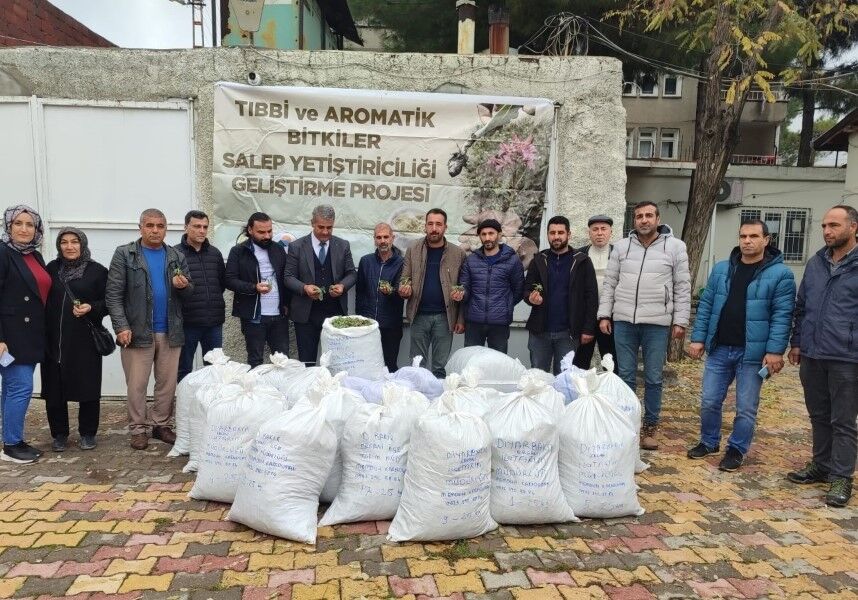 Salephasadı