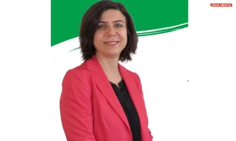 Ayse Serra Bucak Kucuk Kimdir