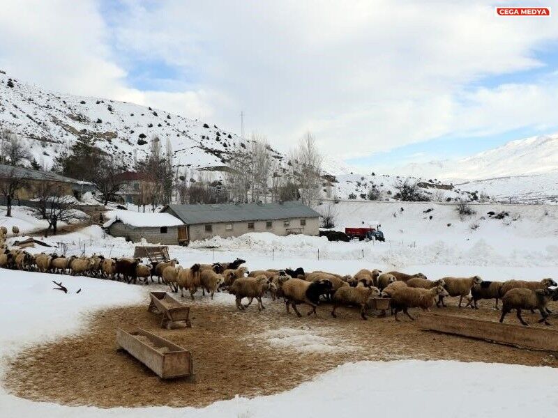 Erzincan Besi