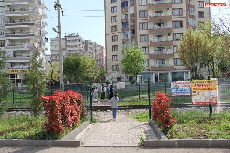 Peyzaj Foto