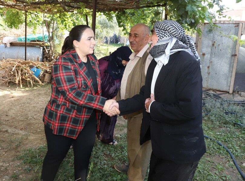 Cizre 3