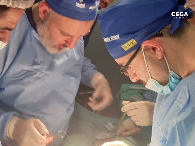 Doktor Filistin Diyabakir