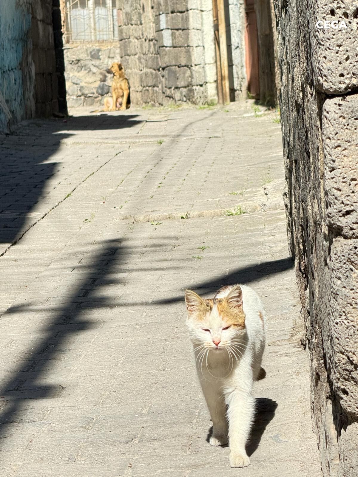 Dönüş