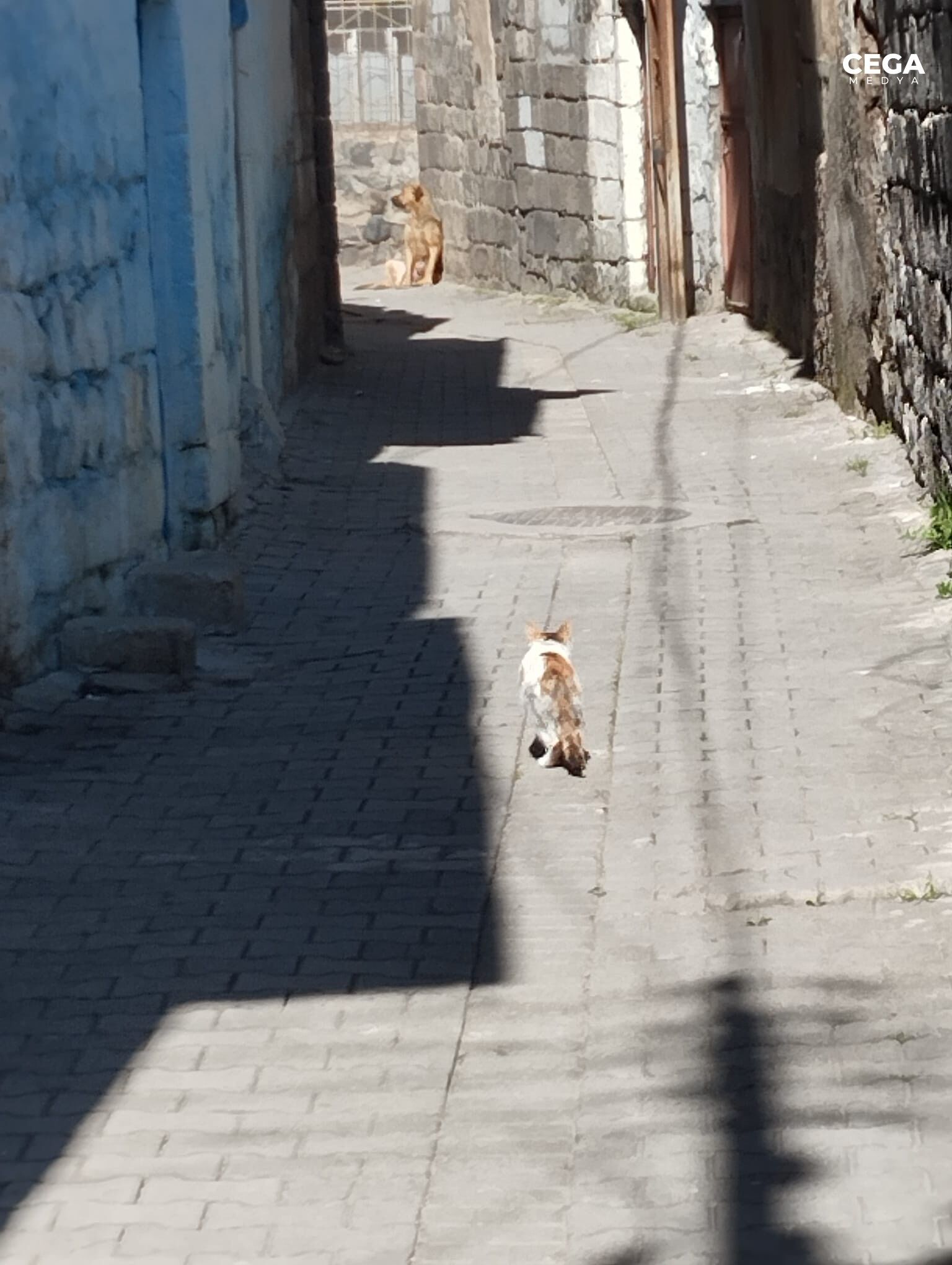 G İ D İ Ş