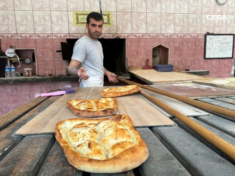 Sinek Fırını 3