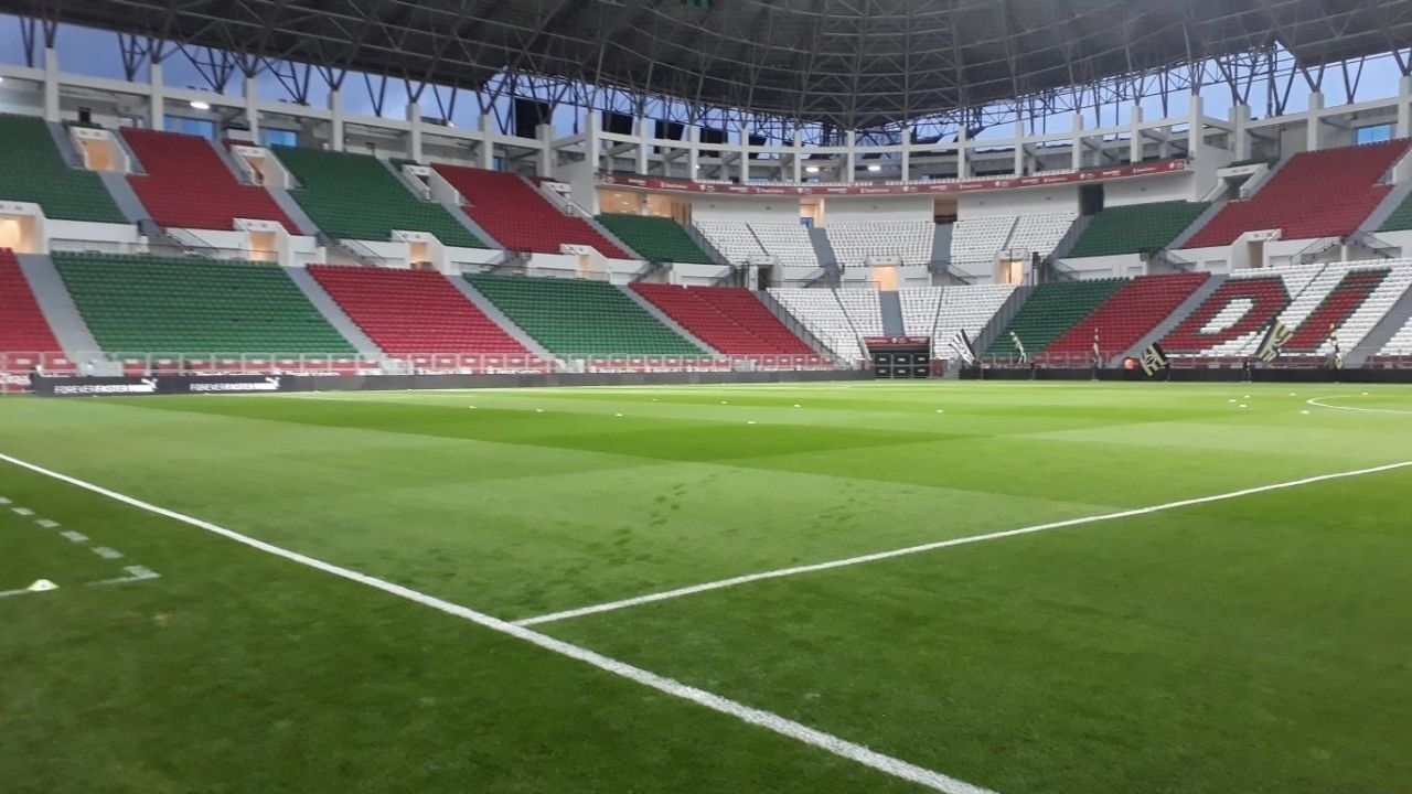 A M D1