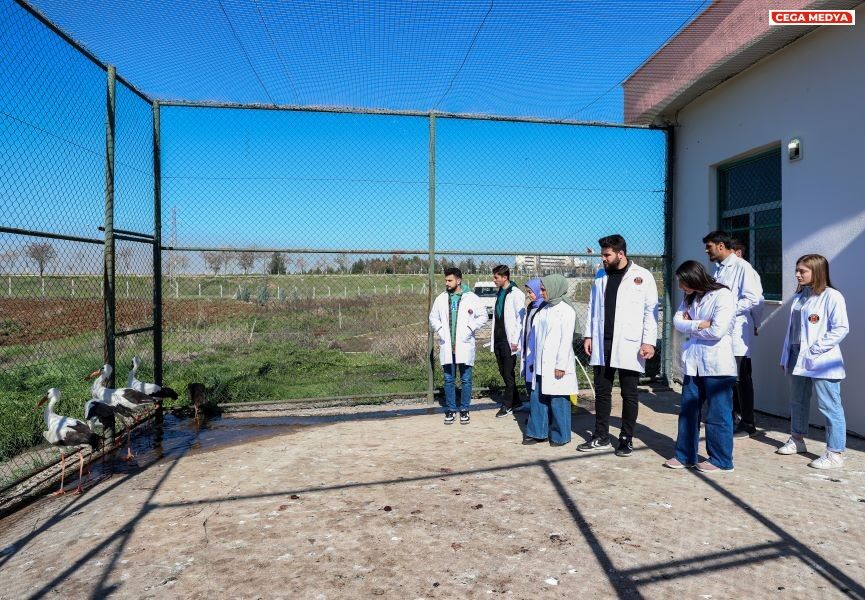 Uygulamalı 3