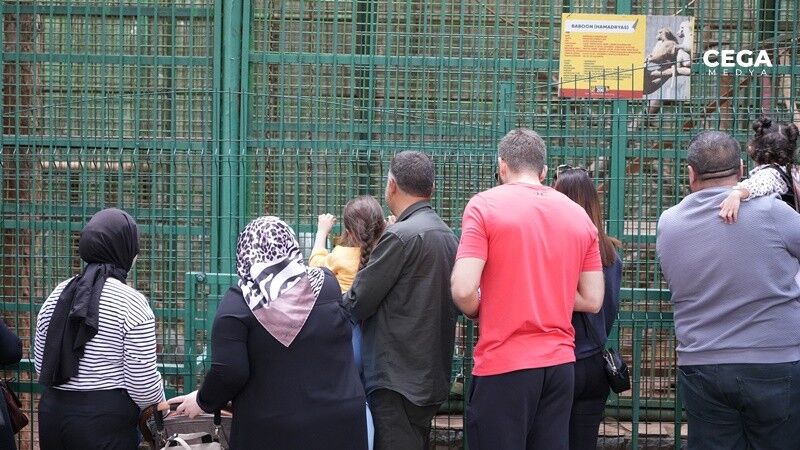 Hayvanat Bahcesi Antep Bayram