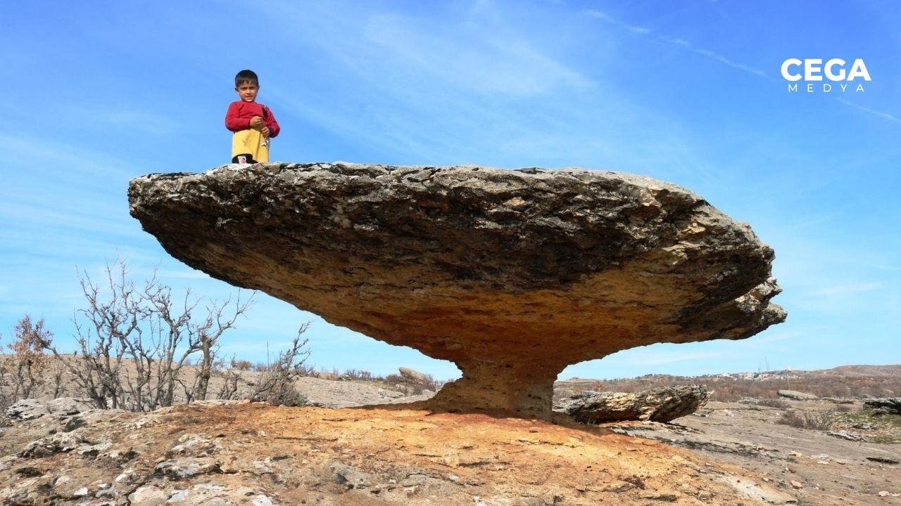 Mantar Kaya 6
