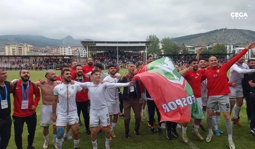 Amedspor Hikayesi.jpeg