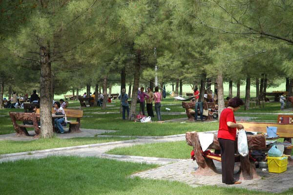Dicle Universitesi Yb K S