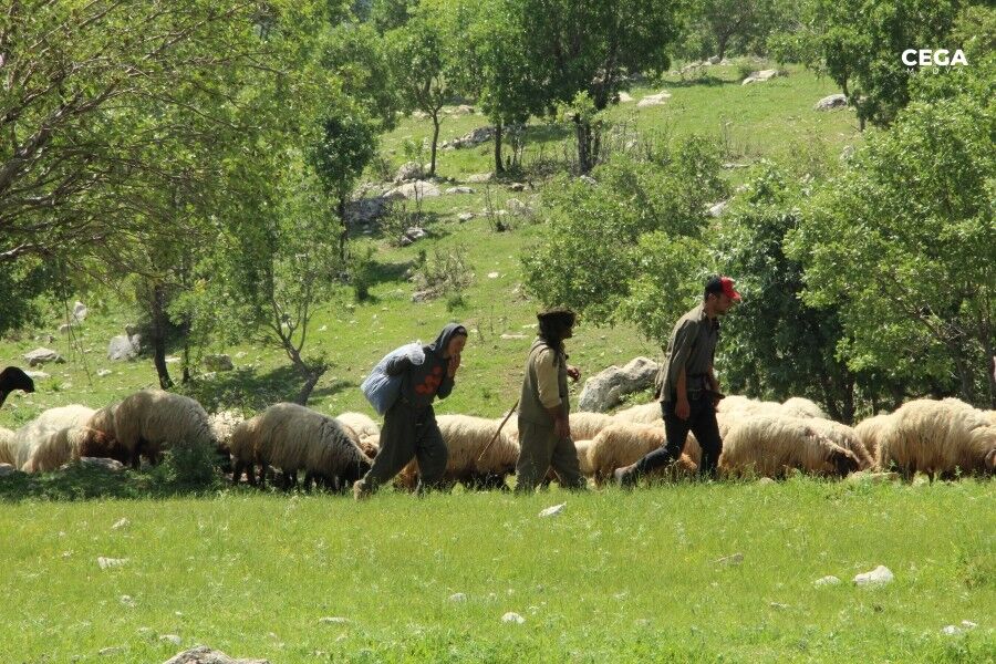 Göçerler 4
