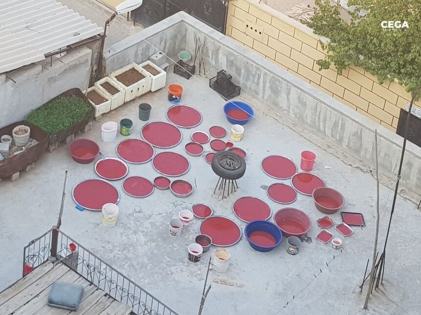 Kurutmalık Salça 11