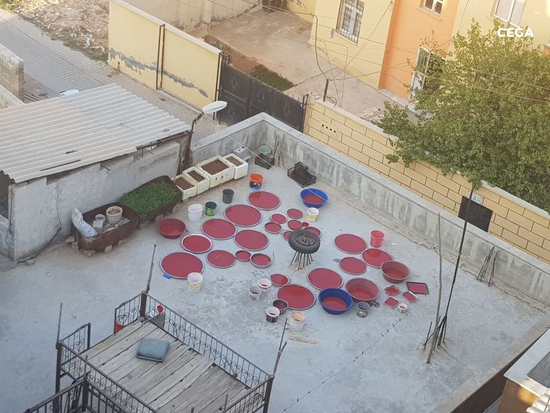 Kurutmalık Salça 2