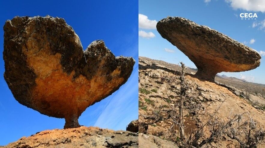 Kayalar Manşet-1