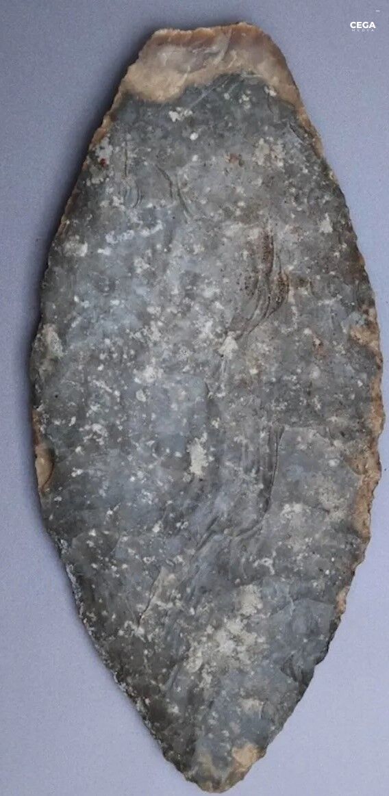 Maya Di̇k