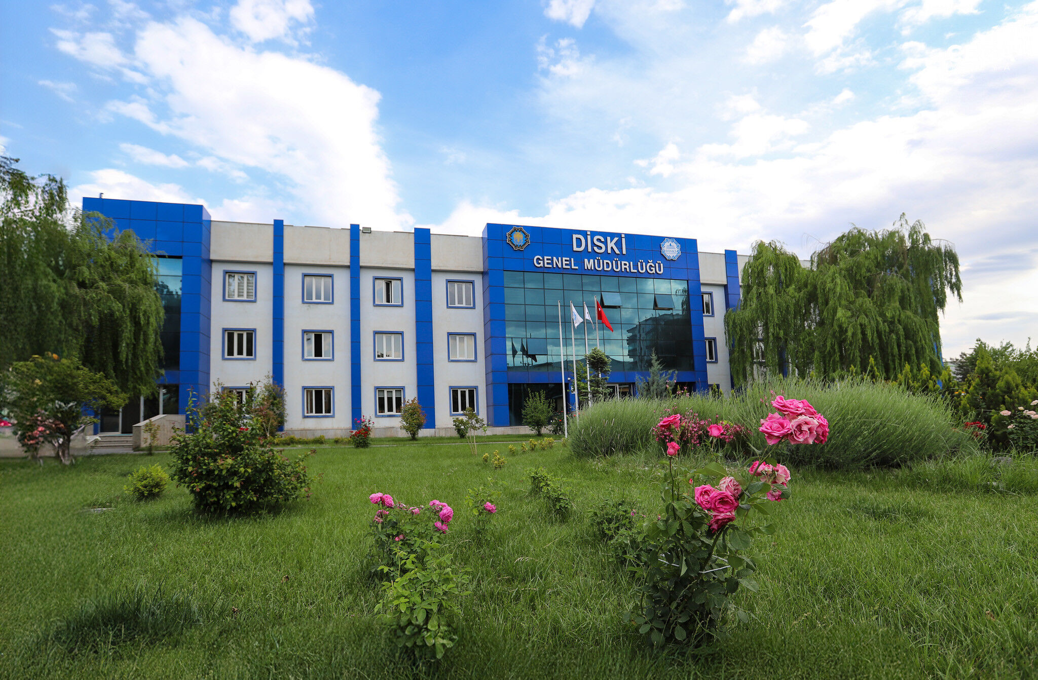 Diski Binasi S