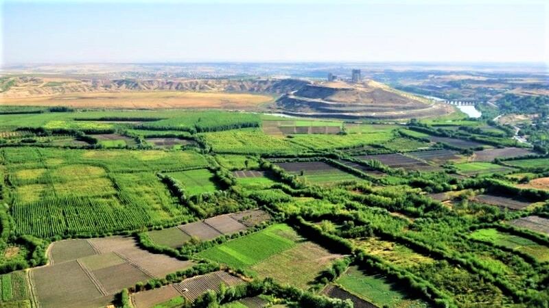 ''Diyarbakır’da ilaç dışında her şey üretiliyordu''