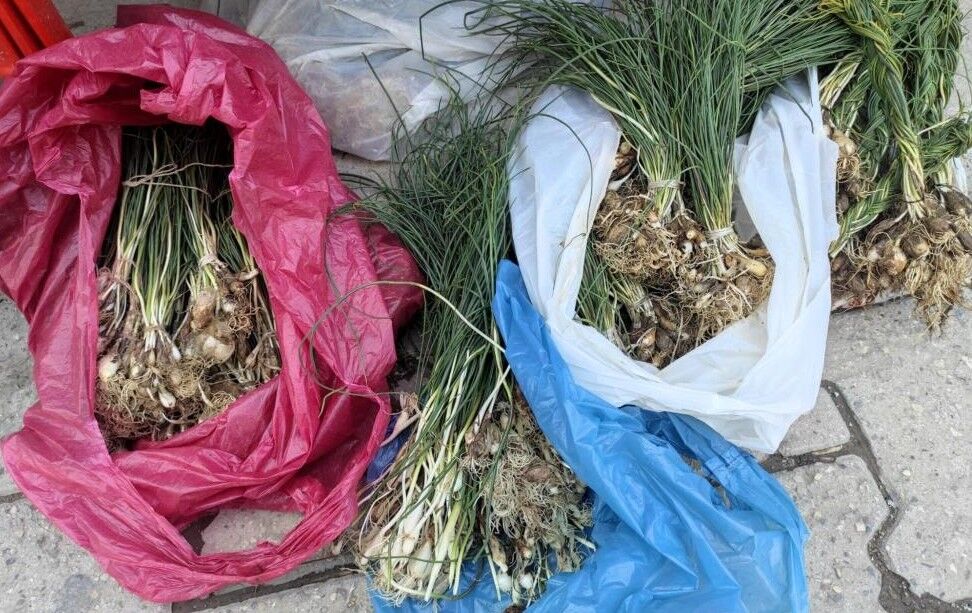 Bu otun kilosu 10 bin lira