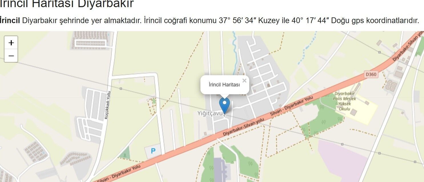 Diyarbakır'da Moğol valileri burada karargah kurmuştu