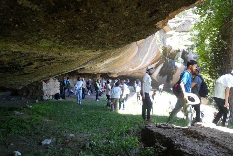 D S C08335 2994X2000