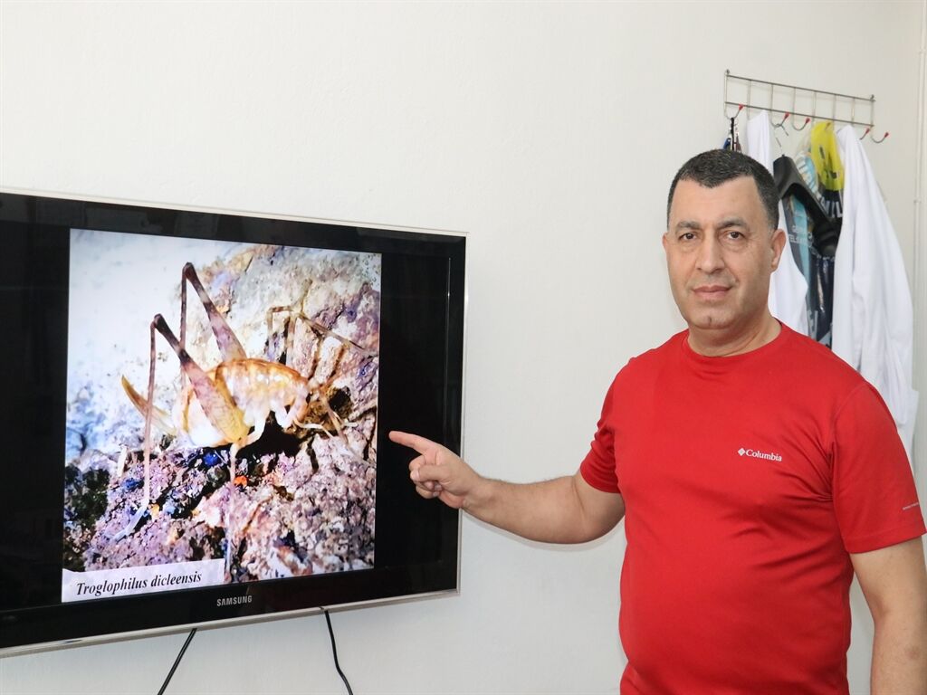 Diyarbakır'da mağarada keşfedildi, Almanya'da yayımlandı