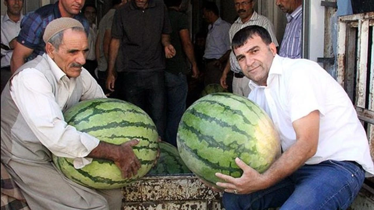 Diyarbakır'a taht, Adana’ya tat tartışması