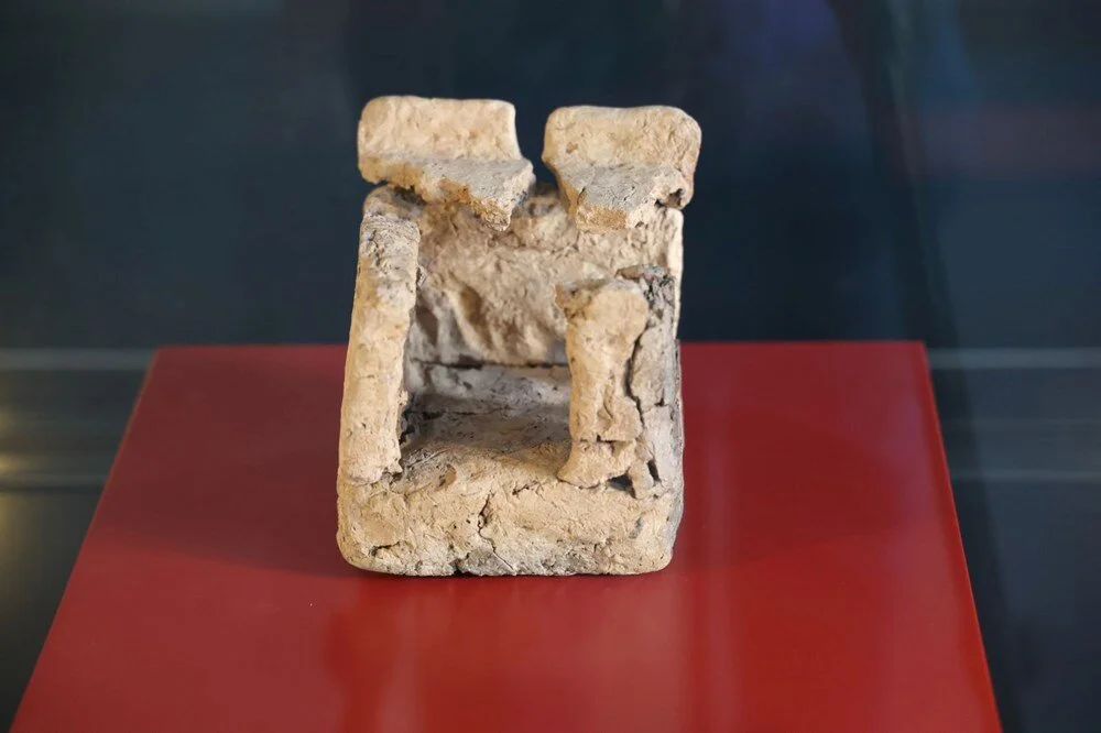 Diyarbakır'da bulundu, dünyada bir ilk