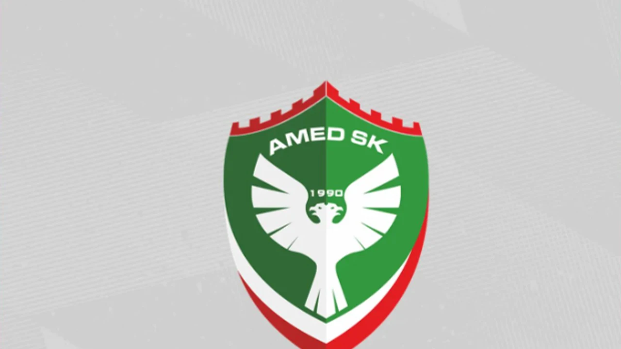 Amed Logo