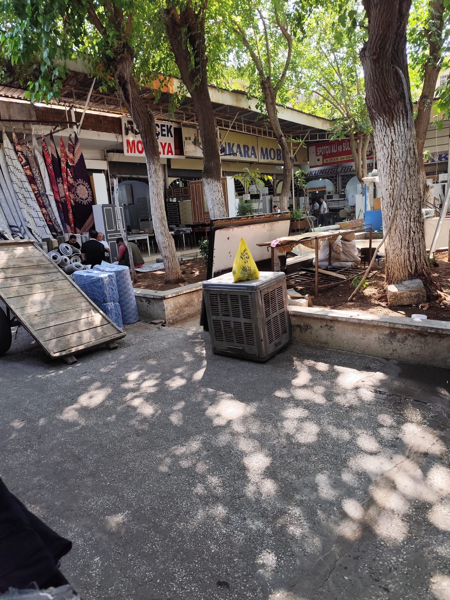  Diyarbakır Sahipsiz Şehir 