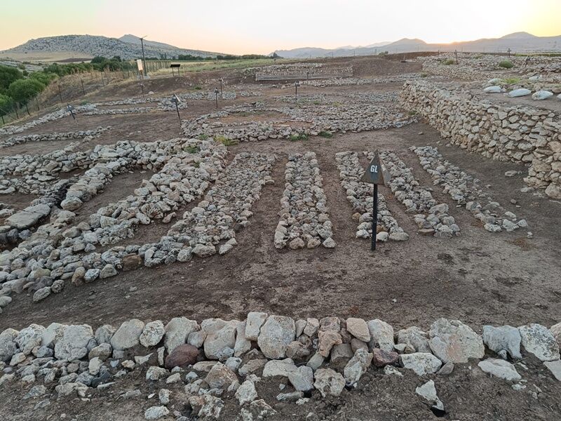 Cayonu Ergani-1