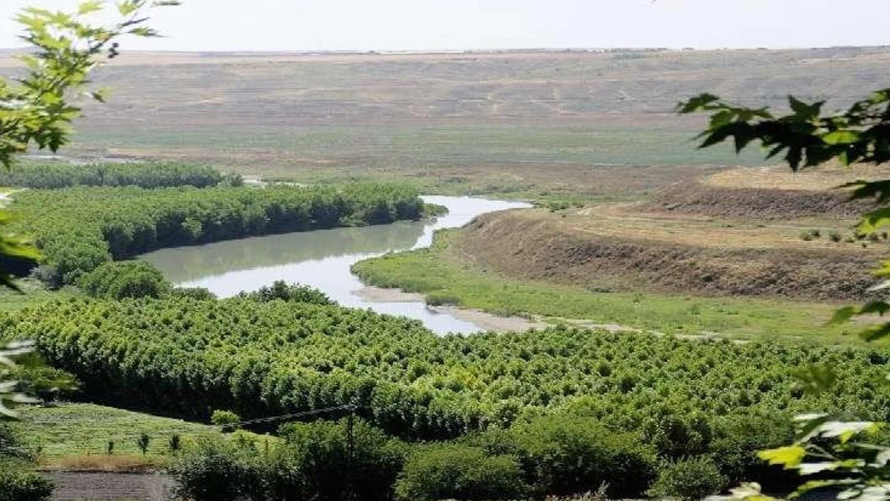 Diyarbakir Tarim