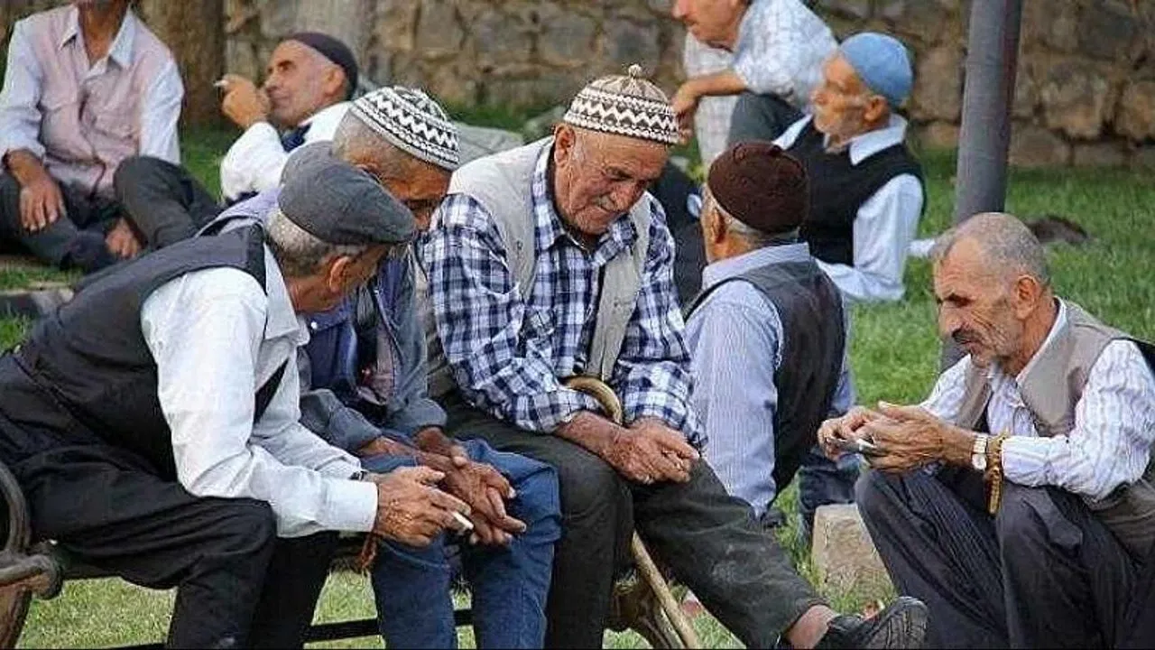 Diyarbakır Yaşlı Nufus