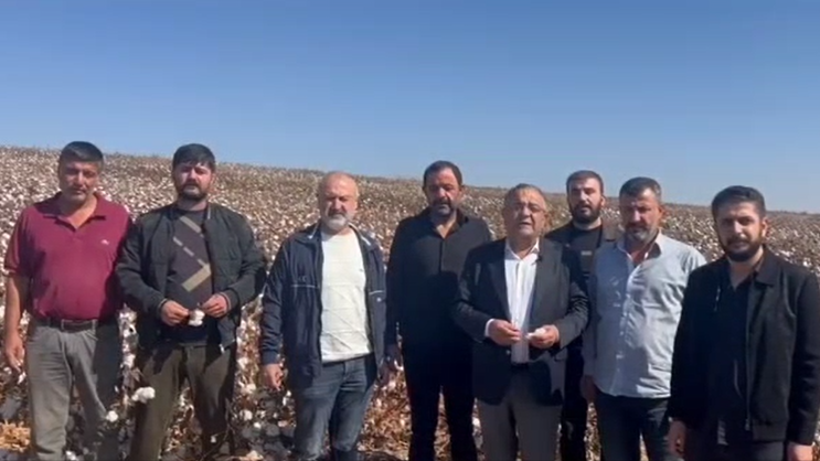Pamuk Uretimi Diyarbakir