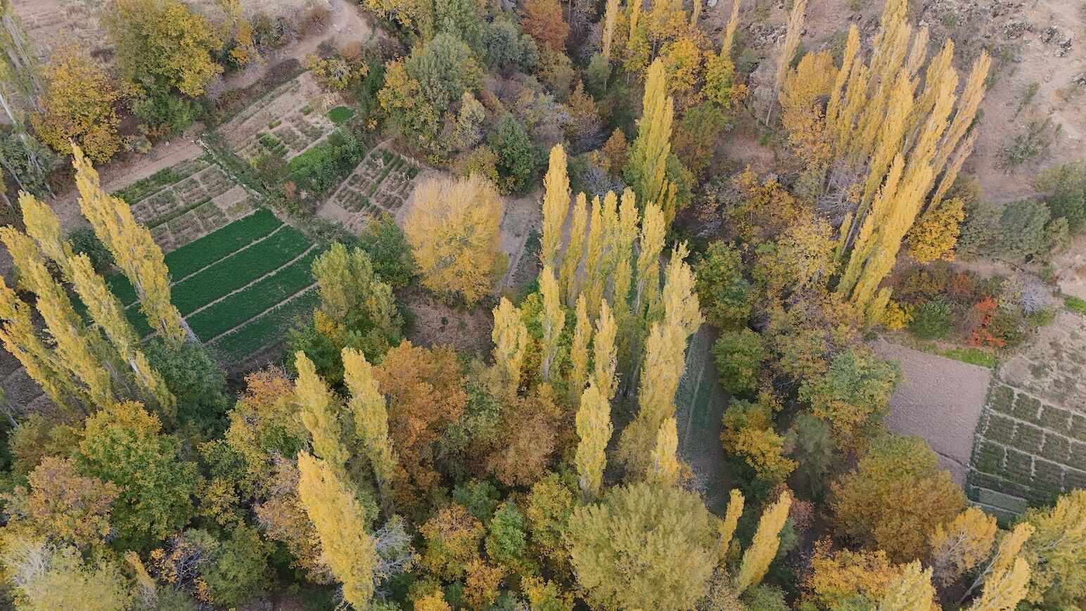 A W584973 02