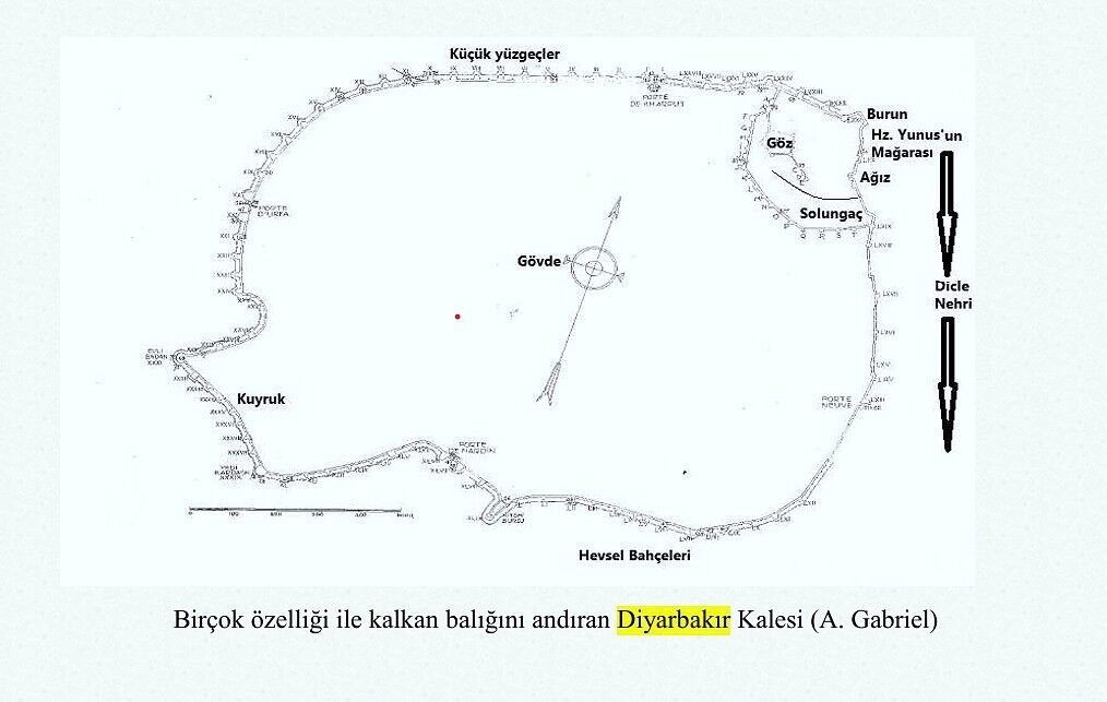 Diyarbakır Surları ile örtüşen Hz. Yunus olayı