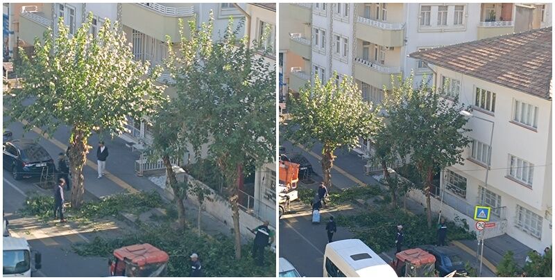 Budama Isleri Diyarbakir