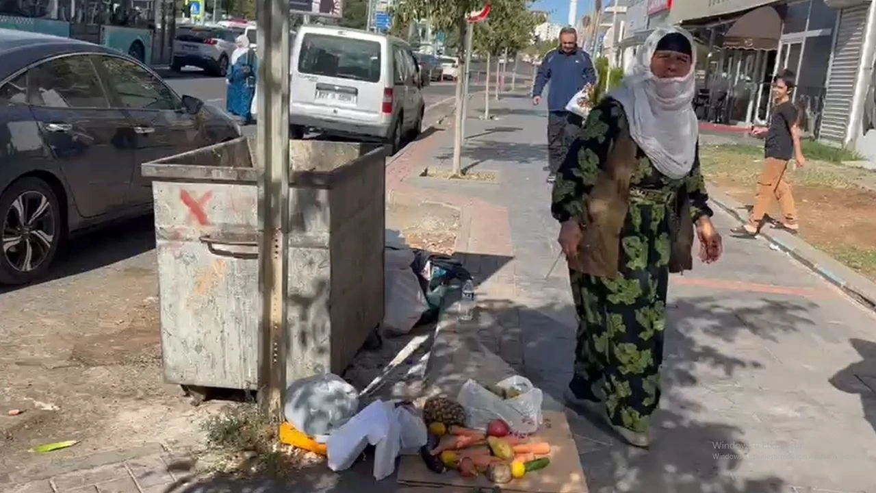 Diyarbakirda Kobanili Ayso Anaya Dem Parti Ulasti2