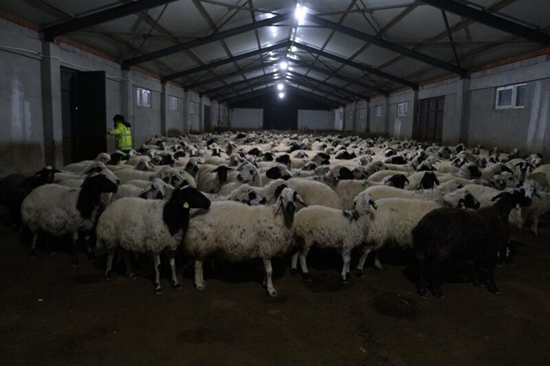 Hibe Destek Erzincan