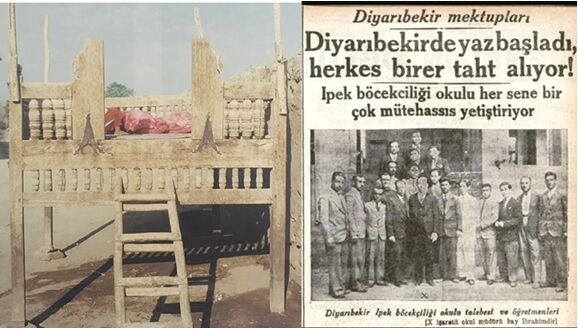 Sahan Eluce Şekeri Yoh