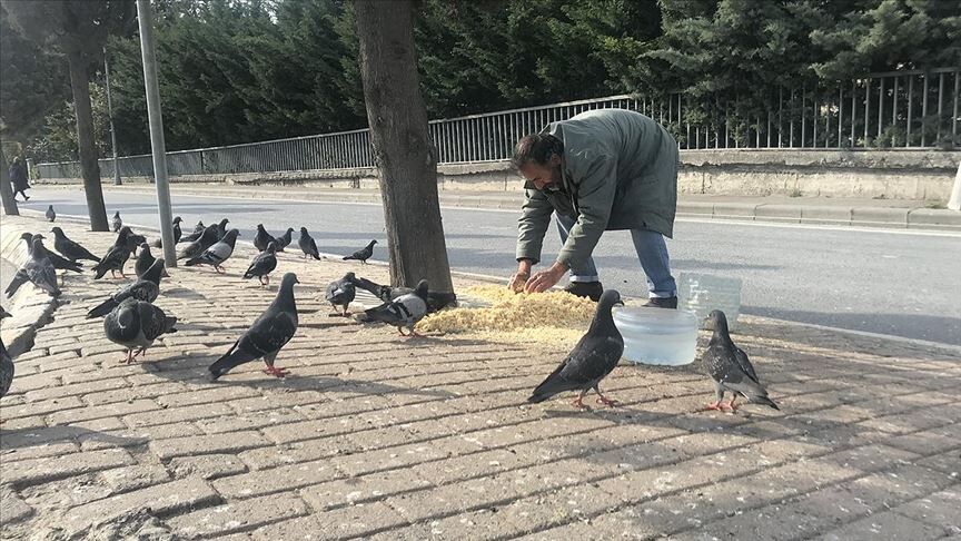 Kuş besleyenlerin şahitliği ile ilgili tartışmalı iddia